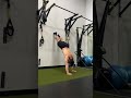 Wall Walk | Handstand 倒立 #AskKenenth