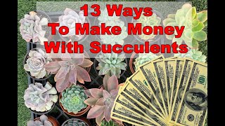 13 Ways To Earn Extra Income With Succulents 2022