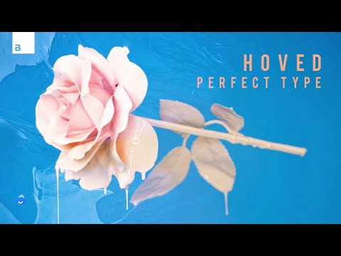 Hoved - Perfect Type [Big & Dirty Records]