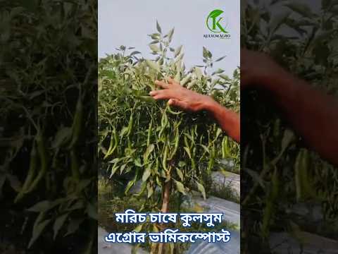 গ্রাহক ভিডিও রিভিউ