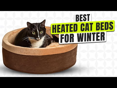 Best Washable Heated Cat Bed Review 2026: Top 5 Tested &amp; Safe