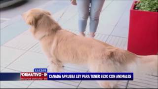 Download lagu Canadá aprueba ley para tener sexo con animales mp3 Download lagu Canadá aprueba ley para tener sexo con animales mp3