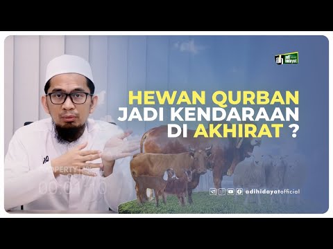 <p>Apakah benar hewan Qurban akan menjadi kendaraan kita ketika melewati shiroth? apakah riwayatnya berdasarkan hadist yang Shohih?</p>
<p>Sebarkan seluas-luasnya kebaikan dengan share video ini, subscribe channel dan aktifkan notifikasi untuk mendapatkan ilmu dan informasi terbaru dari Ustadz Adi Hidayat, Lc., MA. ( UAH )<br />
#kajianUAH #Qurban #Dzulhijjah<br />
UAH Offical Social Media :<br />
facebook.com/adihidayatofficial<br />
instagram.com/adihidayatofficial<br />
t.me/adihidayatofficial<br />
youtube.com/adihidayatofficial</p>
<p>* Tidak diperkenankan me re-upload konten atau materi kami untuk kepentingan komersil dan monetisasi.</p>
<p>Untuk mensupport Kegiatan Pengembangan Dakwah Quantum Akhyar Institute, donasi bisa disalurkan melalui :<br />
1. Rekening BTN Syariah (BTN kode bank : 200)<br />
Nomor Rekening 7122 082 337 a.n Yayasan Institut Quantum Akhyar<br />
Untuk Wakaf Islamic Center Quantum Akhyar Institute dan Operasional Quantum Akhyar Institute</p>
<p>2. Rekening Bank Syariah Mandiri (BSM kode bank : 451)<br />
Nomor Rekening 7088 490 228 a.n Ibrohim Hanif<br />
Untuk Operasional Dakwah</p>
<p>3. Rekening Bank Syariah Mandiri (BSM kode bank : 451)<br />
Nomor Rekening 7123 985 634 a.n Ita Haryati<br />
Untuk Wakaf Buku Hafalan Al-Qur'an</p>
<p>4. Agar selalu mendapatkan informasi terbaru perihal ST UAH , pantau website: quantumakhyar.com/alc</p>
<p>Apakah benar hewan Qurban akan menjadi kendaraan kita ketika melewati shiroth? apakah riwayatnya berdasarkan hadist yang Shohih?</p>
<p>Sebarkan seluas-luasnya kebaikan dengan share video ini, subscribe channel dan aktifkan notifikasi untuk mendapatkan ilmu dan informasi terbaru dari Ustadz Adi Hidayat, Lc., MA. ( UAH )<br />
#kajianUAH #Qurban #Dzulhijjah<br />
UAH Offical Social Media :<br />
facebook.com/adihidayatofficial<br />
instagram.com/adihidayatofficial<br />
t.me/adihidayatofficial<br />
youtube.com/adihidayatofficial</p>
<p>* Tidak diperkenankan me re-upload konten atau materi kami untuk kepentingan komersil dan monetisasi.</p>
<p>Untuk mensupport Kegiatan Pengembangan Dakwah Quantum Akhyar Institute, donasi bisa disalurkan melalui :<br />
1. Rekening BTN Syariah (BTN kode bank : 200)<br />
Nomor Rekening 7122 082 337 a.n Yayasan Institut Quantum Akhyar<br />
Untuk Wakaf Islamic Center Quantum Akhyar Institute dan Operasional Quantum Akhyar Institute</p>
<p>2. Rekening Bank Syariah Mandiri (BSM kode bank : 451)<br />
Nomor Rekening 7088 490 228 a.n Ibrohim Hanif<br />
Untuk Operasional Dakwah</p>
<p>3. Rekening Bank Syariah Mandiri (BSM kode bank : 451)<br />
Nomor Rekening 7123 985 634 a.n Ita Haryati<br />
Untuk Wakaf Buku Hafalan Al-Qur'an</p>
<p>4. Agar selalu mendapatkan informasi terbaru perihal ST UAH , pantau website: quantumakhyar.com/alc</p>