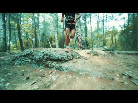 ST Paul Running - 2019