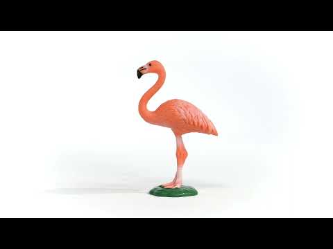 Schleich figūrėlė Flamingas video