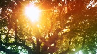 Relaxing Music - Gossamer Spring: Symbiotic