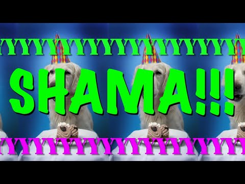 HAPPY BIRTHDAY SHAMA! - EPIC Happy Birthday Song