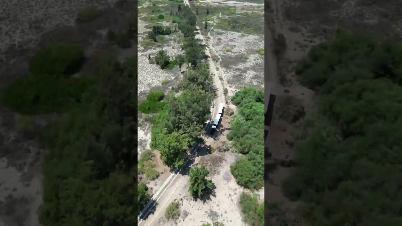 YouTube Short thumbnail