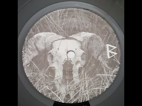 Bruta Non Calculant – Bruta Non Calculant (7")