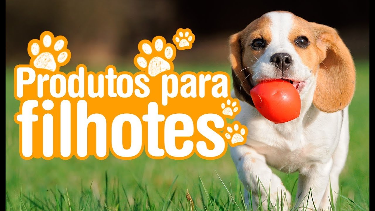 Chegada do filhote: quais produtos comprar?