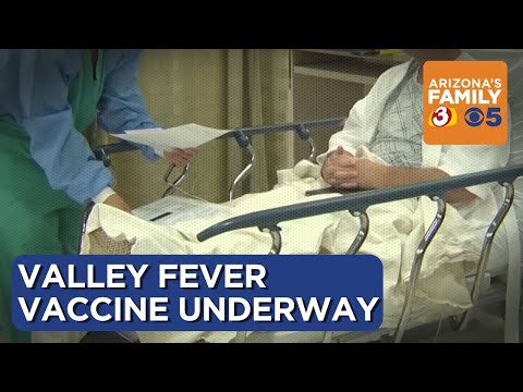 Northern Arizona University researchers working to create Valley Fever vaccine