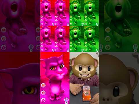 Talking tom cat #shorts #523