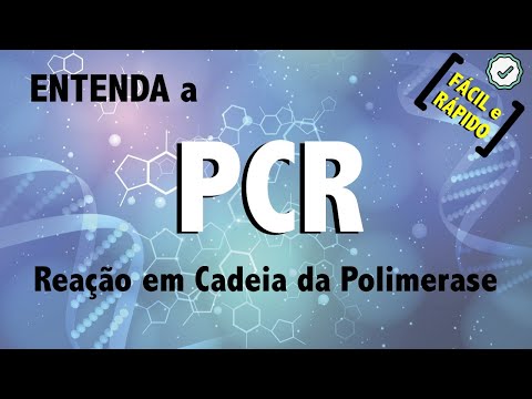 PCR Test – Polymerase Chain Reaction I MOLECULAR BIOLOGY