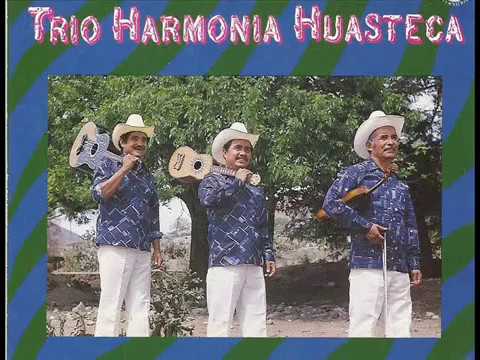 Trio Armonia Huasteca - Cielo Azul, Cielo Nublado