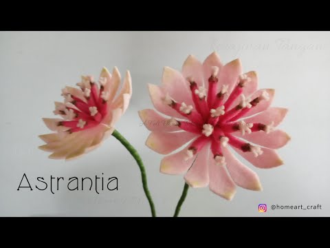 Felt Flowers DIY - How to Make Astrantia Felt Flower - Tutorial Felt #DIY (English Sub)