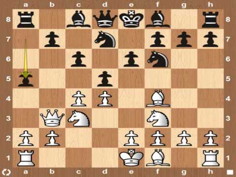 GM Liem Le Quang vs Kamsky, Gata 2011