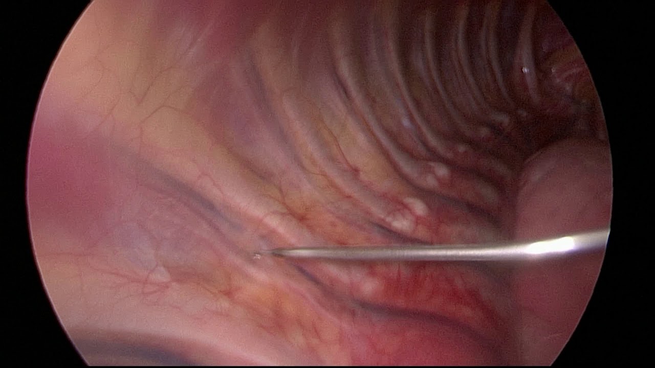 Tales Rubens De Nadai-19