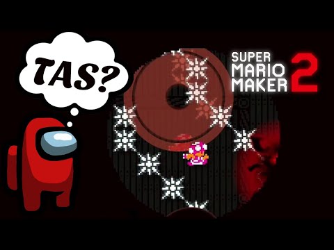 Was This Level Uploaded With TAS? | Super Mario Maker 2