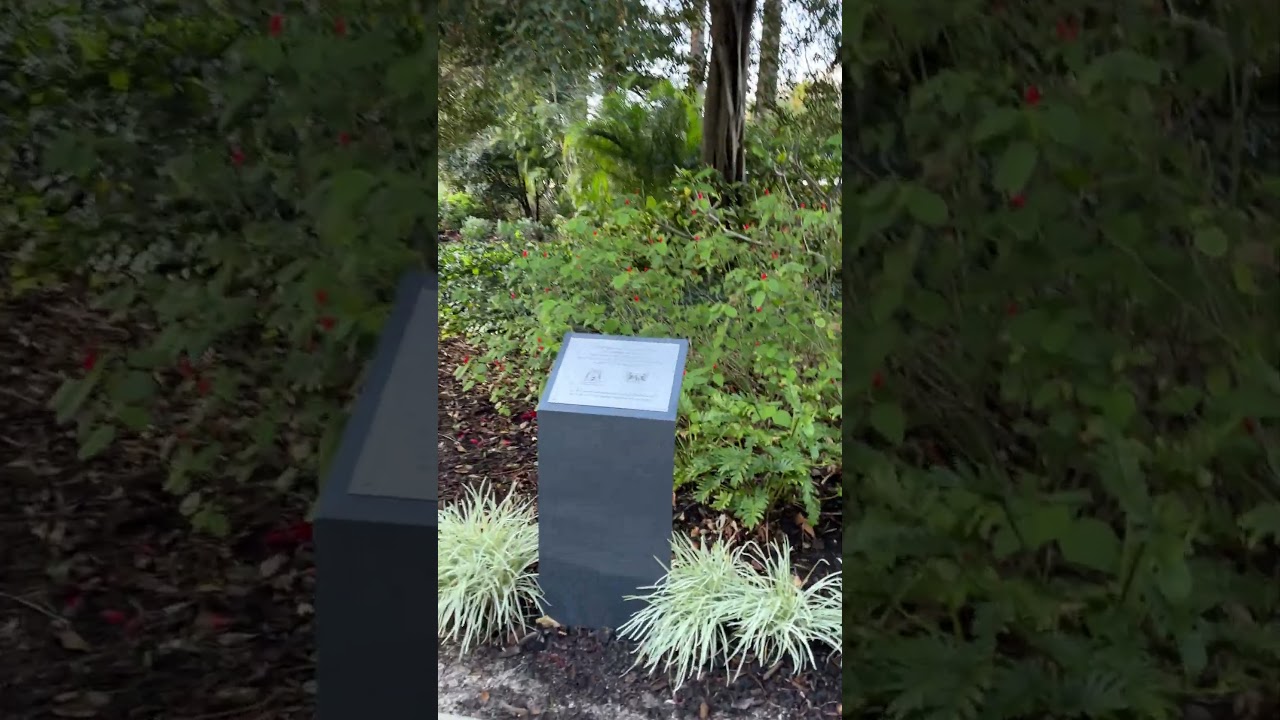 YouTube Short thumbnail