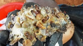 Jiggers: Joseph (48) epileptic and jiggered (2 of 8)