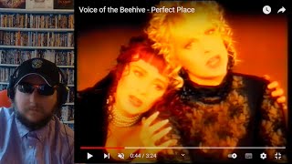 Voice of the Beehive - Perfect Place reaction