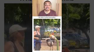 A vida do cachorrinho é uma maravilha #shorts
