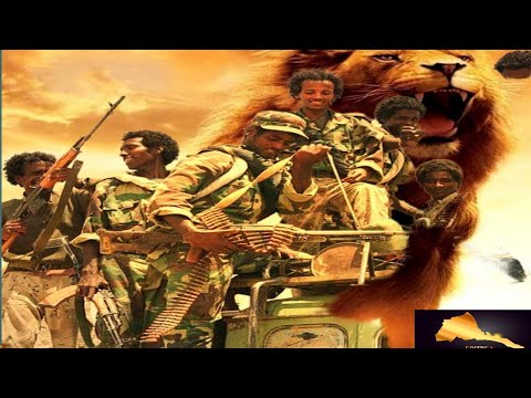 Eritrea Music Andom Weldu ወዲ ወልዱ