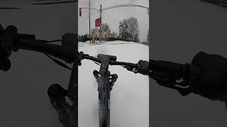 Frozen South Carolina Day | Mokwheel Onyx E-Bike