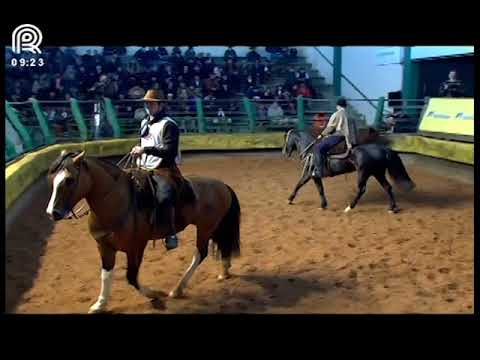 Esteio Open (RS) – 2nd place males – Monarca da Dom Manoel (Proof: Mangueira II)