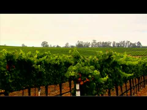 Nomacorc Oxygen Managment Conference