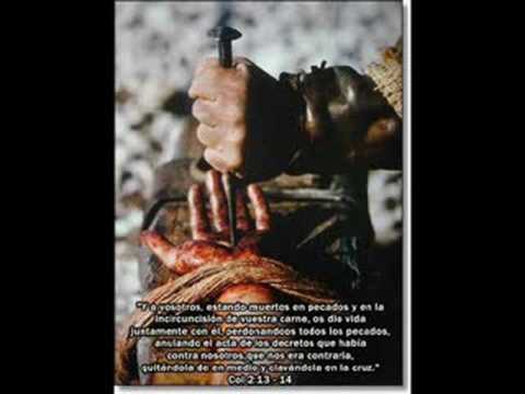 radikal people - pelea