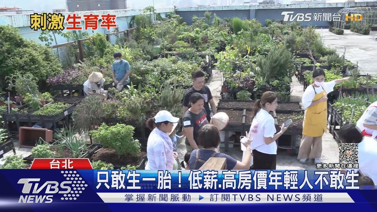 政府「大撒幣」刺激生育無效?韓國狠砸9兆愈救愈糟