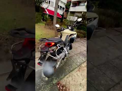 Ducati Multistrada sound wake up after winter 😍 #ducati #multistrada #motorbike #motorcycle