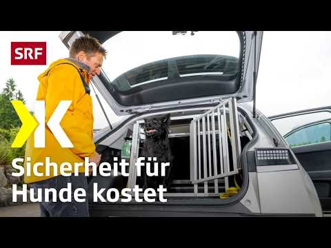 Dog crates tested: Only one model offers optimal safety for dogs | 2025 | Kassensturz | SRF