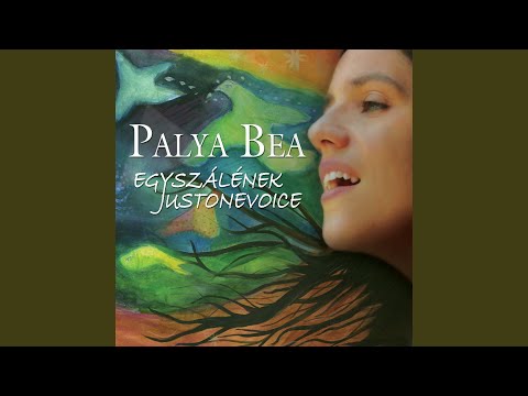 Az elérhetetlen férfi