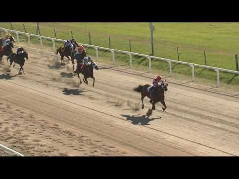 CARRERAS SINT COLONIA 210514 c01 1° TECNIS