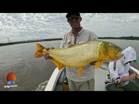 CASA DE PESCA EL ESPARTO CORDOBA. Sobremonte 102, La Carlota Tel: +5493584404957 @elespartolacarlota