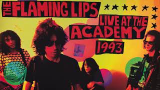 The Flaming Lips - Live at the Academy in New York, NY (November 6, 1993)