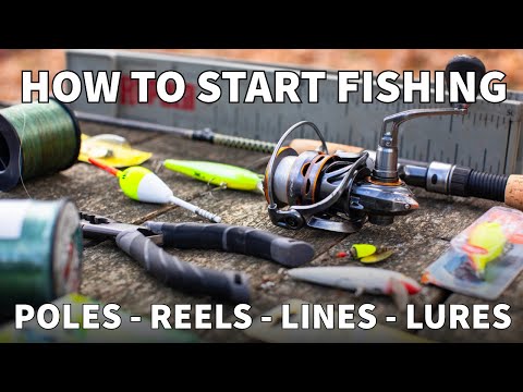 Fishing 101: The Basics You Need to Start Fishing Today!