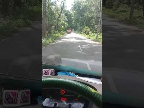 10 Malai mass driving