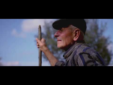 ZIo Angelo e i tempi moderni Film completo