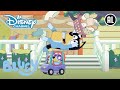 Bluey | ? De Leukste Familie Speeltijd | Disney Channel NL