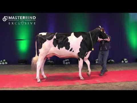 #46 Hat Jamaha VG-86 (V. Lindenright Milehigh)