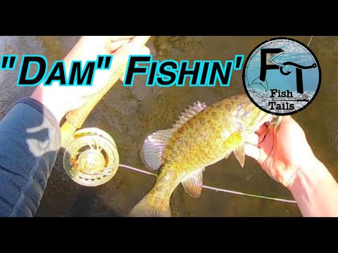 Shore & Wade Fishing Milwaukee River in Spring (spinning and fly) "Fish Tails" ep-4