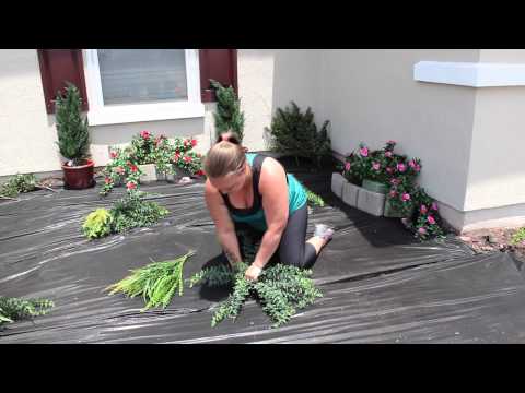 download lagu mp3 mp4 Artificial Garden Plants, download lagu Artificial Garden Plants gratis, unduh video klip Artificial Garden Plants