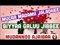 Obboletti Teenya Mucaa Madamii Jaladhee Biyya Galuu Naa Jibsisee Jetti