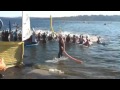 Danskin Triathlon 2010