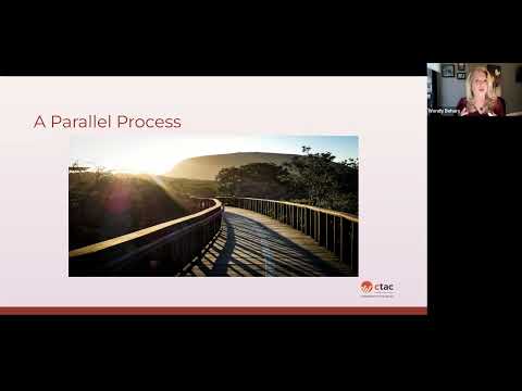 Schema Therapy for Narcissistic Personality Disorder: Tools for Clinicians