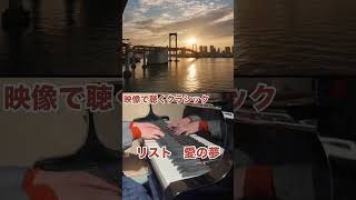 Download lagu 『映像で聴くクラシック』リスト　愛の夢　＃リスト＃愛の夢＃クラシック#choji #ピアノ mp3