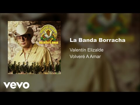 Valentín Elizalde - La Banda Borracha (Audio)